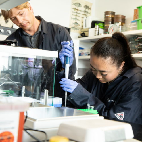 Student works in lab with Dr. Willette